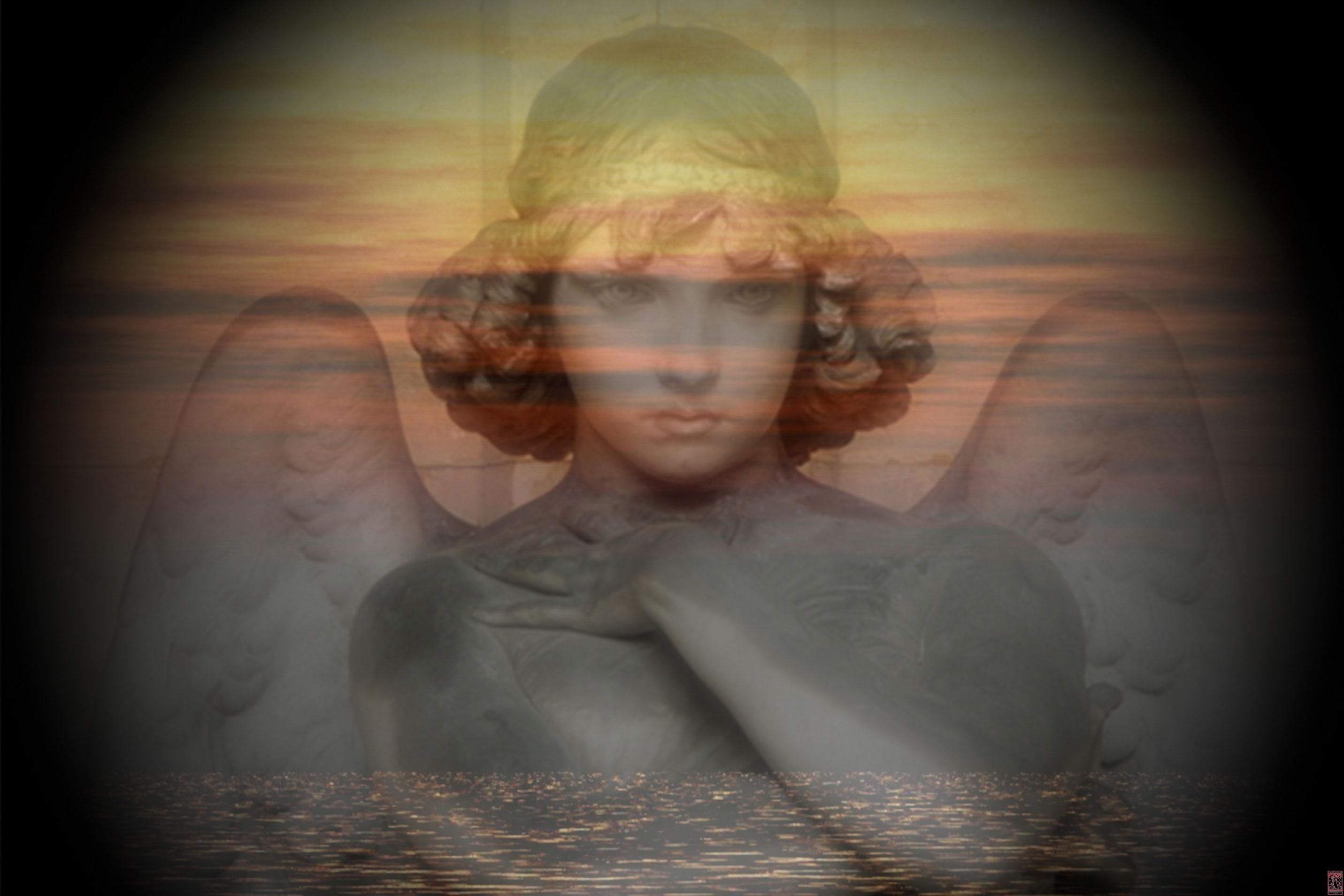 test-bg